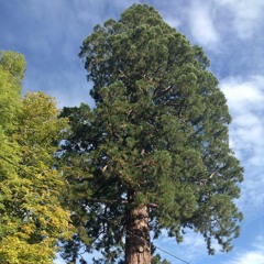 Épitaphe de Chronos