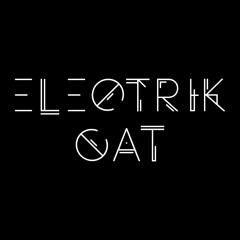 Electrik Cat - Vivid  [FREE DOWNLOAD]