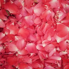 แจกัน สุเมธแอนเดอะปั๋ง