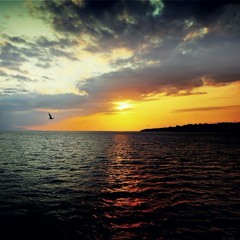 قصيدة " حكم ونصائح " للشاعر صالح بن عبد القدوس ،، إلقاء منار سمير سعيد ..