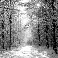 Wintry and Wakeful