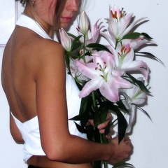 Lilien