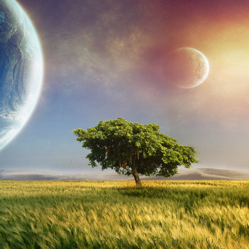 io