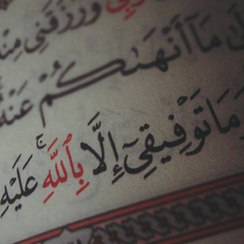 كل الناس بيقولوا يارب