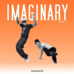 Imaginary Vol. 2: Tribute to The Neptunes