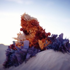 "Desert Rose" by Julien H. Andréani - The Sand Castle (segment 2)