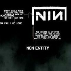 Non-Entity (NIN cover)