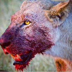 Retro Flow [Freestyle]