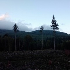 Movement (early version)