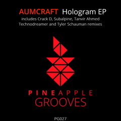 Aumcraft - Hologram (Original Mix) [Snippet]  [Pineapple Grooves]