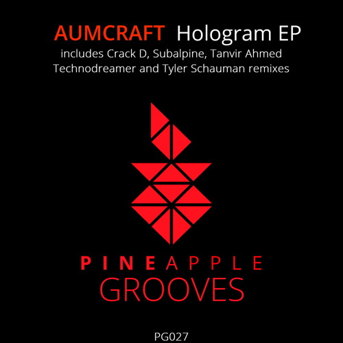 Aumcraft - Hologram (Original Mix) [Snippet]  [Pineapple Grooves]