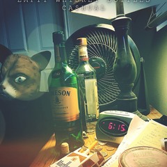 EMPTY WHISKEY BOTTLES (prod. by prod. flip)