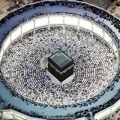 قصة سيدنا بلال في حب رسول الله  ابكت الحضور،الحبيب علي الجفري