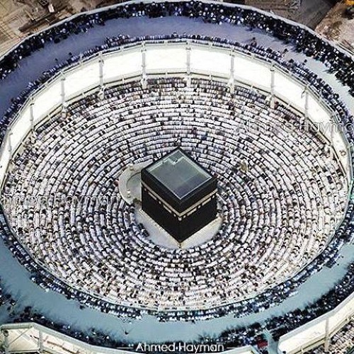 قصة سيدنا بلال في حب رسول الله  ابكت الحضور،الحبيب علي الجفري