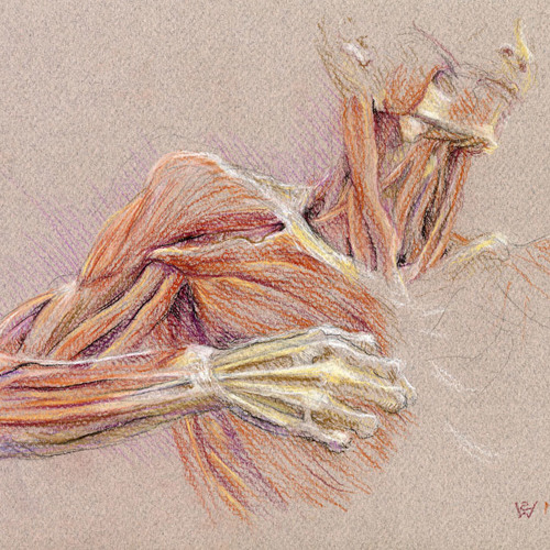 **I'm Only Human** 2nd verse open!!