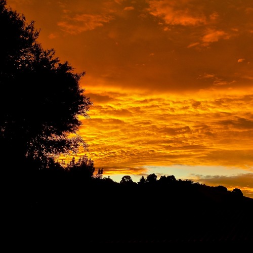 Into Orbit - given the Stephen Briggs live looping guitar treatment