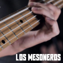 Los Mesoneros - Caiga la noche /// El Ruido Sessions