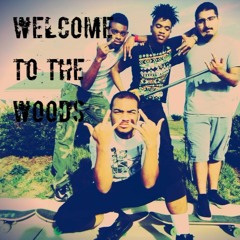 Welcome to the Woods (Prod. Senshi Beat Barone)