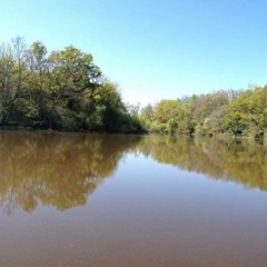 Stlick - Witch - Vs - Shaman - Bounce