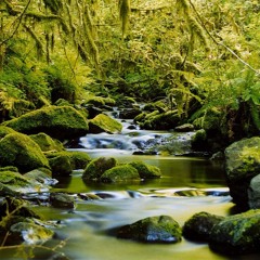 اسماعيل حجاب تلاوه نادره الواقعه