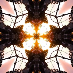 Demeter / Your Fruit