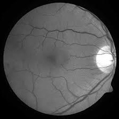 Artery ( modular techno live jam )