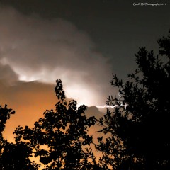 The Ballod To Trump All Ballods