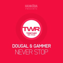 Dougal & Gammer - Never Stop