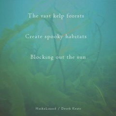 The Vast Kelp Forests (NaviarHaiku117 - the vast kelp forests)