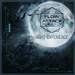 Flow Attack - Night Experience (Premastered)