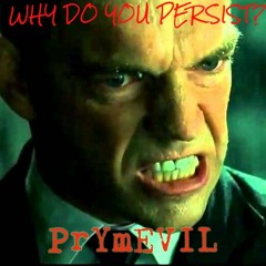 Why Do You Persist?