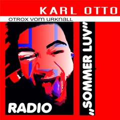 SUMMERLUVSINGLE - PRIVU