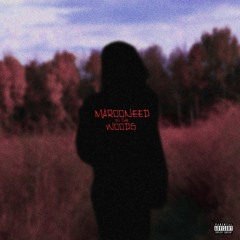 ImMaroonedCauseYouRuinedMe (prod. by dad's young aim)