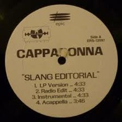 Cappadonna slang editorial (Prod.by Antoo)