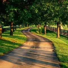 Miracle Aligner (The Last Shadow Puppets)