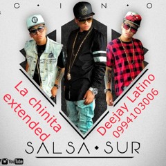 Mi Chinita Salsa Sur Feat Dj Latino Extended