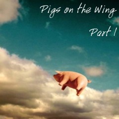 Pigs On The Wing Part 1 - Pink Floyd cover