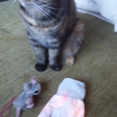 Voltage Musique -  05 Sofilla&Henk - You Only Think Of You (Douglas Greed Remix)