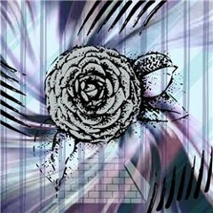 Memeoirs Of A Teenage Aesthetic