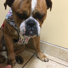 Runescape-(Produced By "thebasedmartyr")