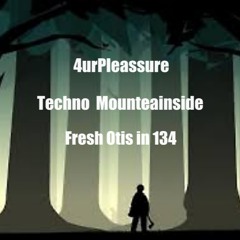FreshOtis@MountainsideTechno (styria)