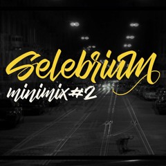 SELEBRIUM MINIMIX#2