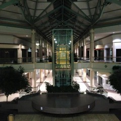 ﻿ＮＩＧＨＴ  ＭＡＬＬ