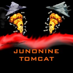 Tomcat