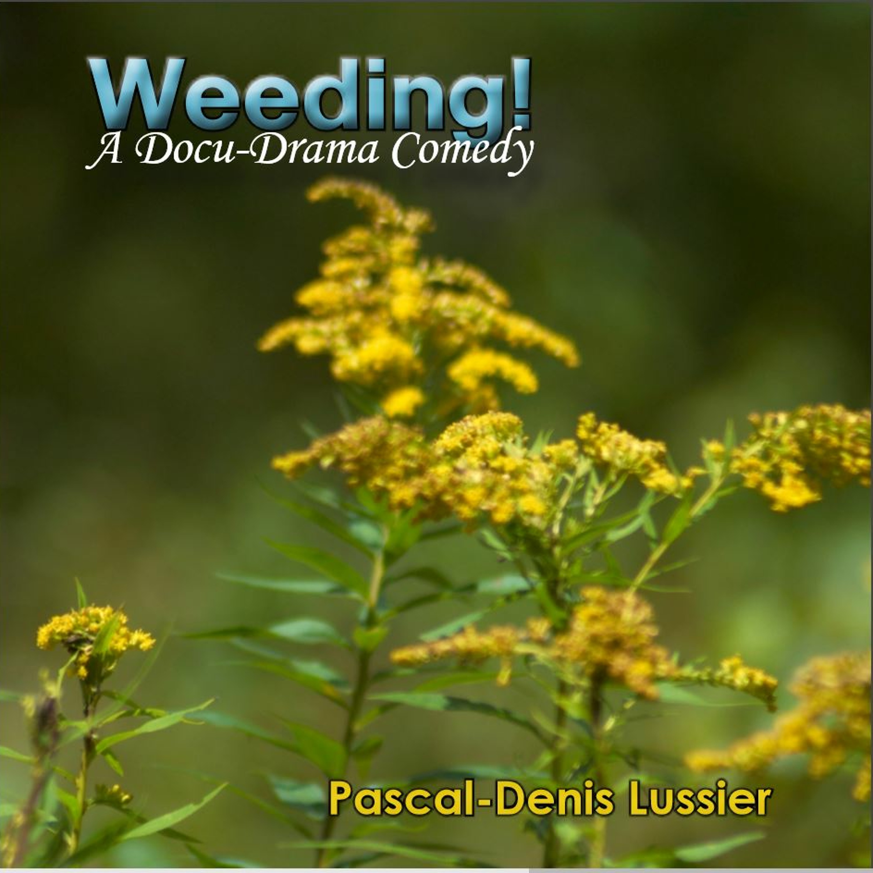 Pascal-Denis Lussier