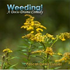 The Breaks - The Esso