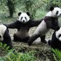 Panda Remix - DSands