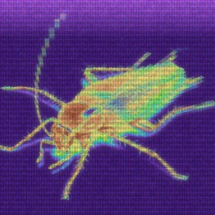 Digital Cockroaches In My Head
