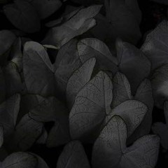 21:00-22:00 / Where To?