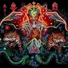 Lee Pattern - Fearless